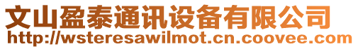 文山盈泰通訊設備有限公司
