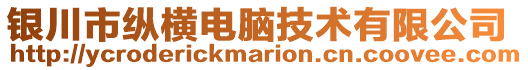 銀川市縱橫電腦技術有限公司