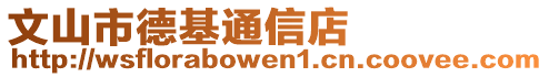 文山市德基通信店