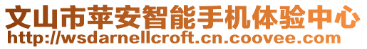 文山市蘋(píng)安智能手機(jī)體驗(yàn)中心