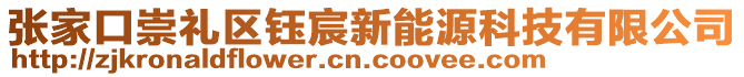 張家口崇禮區(qū)鈺宸新能源科技有限公司