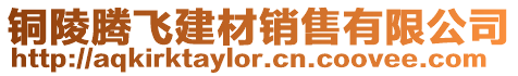銅陵騰飛建材銷(xiāo)售有限公司
