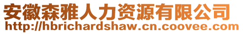 安徽森雅人力資源有限公司