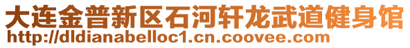 大連金普新區(qū)石河軒龍武道健身館