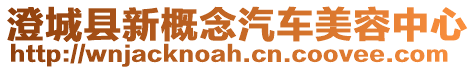 澄城縣新概念汽車美容中心