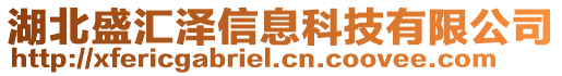 湖北盛匯澤信息科技有限公司