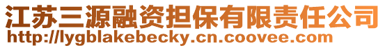 江蘇三源融資擔保有限責任公司