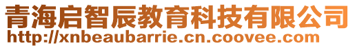 青海啟智辰教育科技有限公司