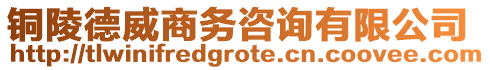 銅陵德威商務咨詢有限公司