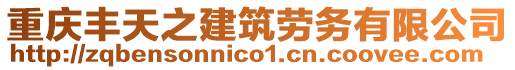 重慶豐天之建筑勞務有限公司