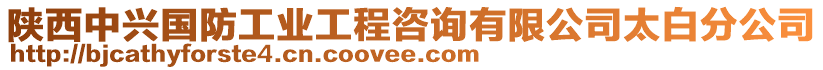 陜西中興國(guó)防工業(yè)工程咨詢有限公司太白分公司