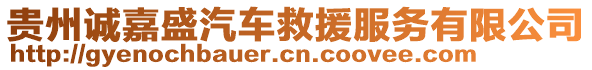 貴州誠嘉盛汽車救援服務(wù)有限公司