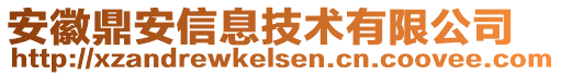 安徽鼎安信息技術(shù)有限公司