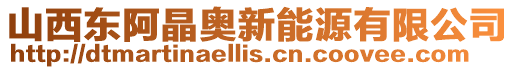 山西東阿晶奧新能源有限公司