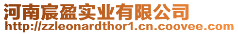 河南宸盈實(shí)業(yè)有限公司