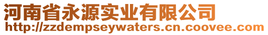 河南省永源實業(yè)有限公司