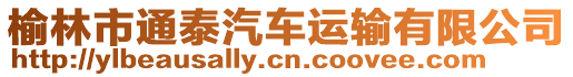 榆林市通泰汽車運(yùn)輸有限公司