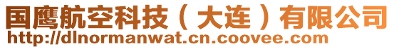 國(guó)鷹航空科技（大連）有限公司