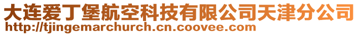 大連愛丁堡航空科技有限公司天津分公司