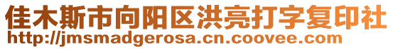 佳木斯市向陽(yáng)區(qū)洪亮打字復(fù)印社