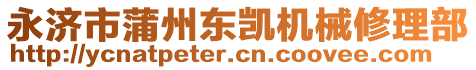 永濟(jì)市蒲州東凱機(jī)械修理部