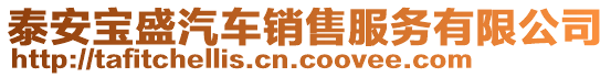 泰安寶盛汽車銷售服務(wù)有限公司