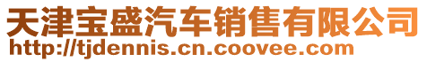 天津?qū)毷⑵囦N售有限公司