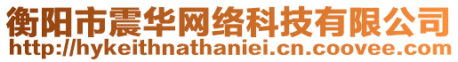 衡陽市震華網絡科技有限公司