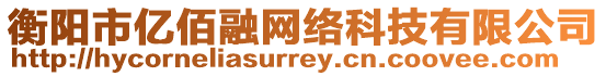 衡陽(yáng)市億佰融網(wǎng)絡(luò)科技有限公司