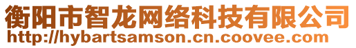 衡陽市智龍網絡科技有限公司
