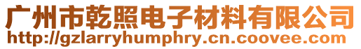 廣州市乾照電子材料有限公司