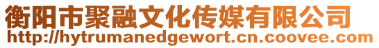 衡陽市聚融文化傳媒有限公司
