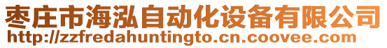 棗莊市海泓自動化設備有限公司