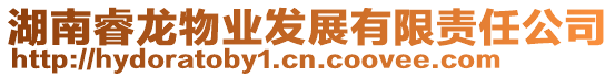 湖南睿龍物業(yè)發(fā)展有限責任公司