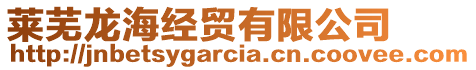 萊蕪龍海經(jīng)貿(mào)有限公司