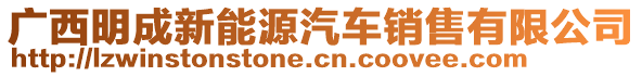 廣西明成新能源汽車銷售有限公司