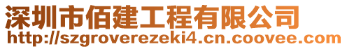 深圳市佰建工程有限公司