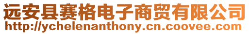 遠(yuǎn)安縣賽格電子商貿(mào)有限公司