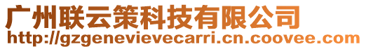 廣州聯(lián)云策科技有限公司