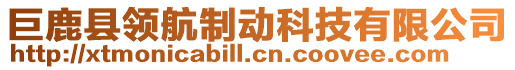 巨鹿縣領(lǐng)航制動科技有限公司