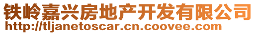 鐵嶺嘉興房地產(chǎn)開發(fā)有限公司