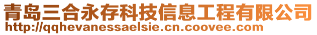 青島三合永存科技信息工程有限公司