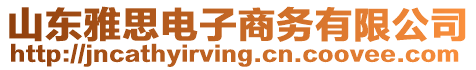 山東雅思電子商務有限公司