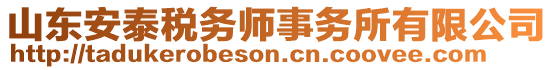 山東安泰稅務師事務所有限公司