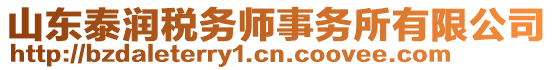 山東泰潤(rùn)稅務(wù)師事務(wù)所有限公司