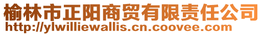 榆林市正陽商貿有限責任公司