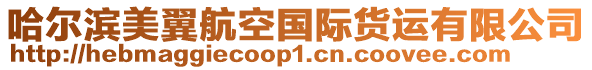 哈爾濱美翼航空國際貨運有限公司