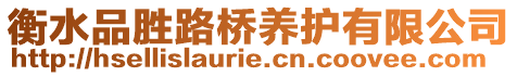 衡水品勝路橋養(yǎng)護有限公司