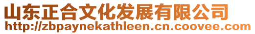 山東正合文化發展有限公司