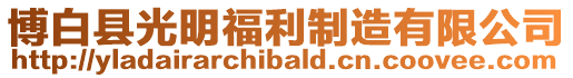博白縣光明福利制造有限公司